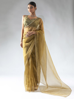 Sareemall Embellished Bollywood Organza Saree(Light Green)