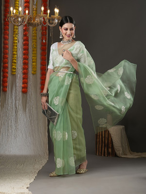 Sareemall Embroidered Bollywood Organza Saree(Green)