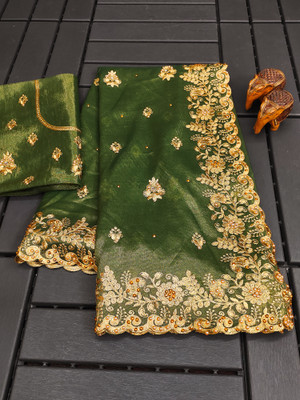 Mikhushop Embroidered Bollywood Net Saree(Light Green)