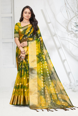 Aarunika SKT Printed Bollywood Organza Saree(Green)