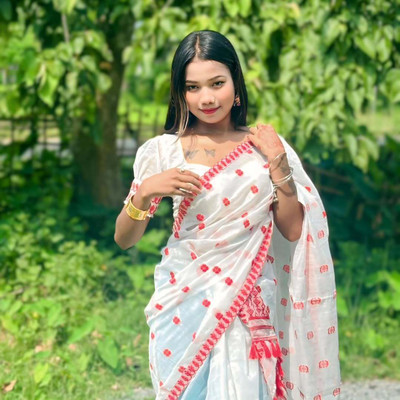 Sheden Lopez Creation Woven Mekhela Chador Cotton Blend Saree(Multicolor)