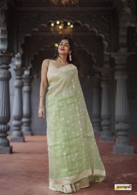 HANSIKA FASHION Applique Banarasi Pure Silk, Cotton Silk Saree(Light Green)