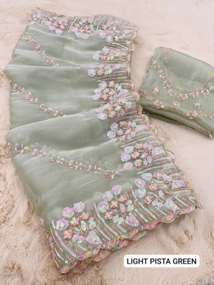 Moon Queen Embroidered Bollywood Organza Saree(Light Green)