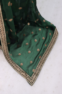Radheradhey Solid/Plain Bollywood Chiffon Saree(Light Green)