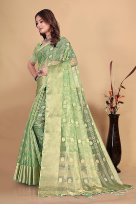 Aarunika SKT Printed Bollywood Organza Saree(Light Green)
