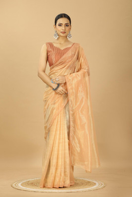 CHHELAJI Solid/Plain Bollywood Net Saree(Pink)