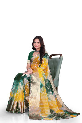Aarunika MNT Solid/Plain Bollywood Organza Saree(Green)