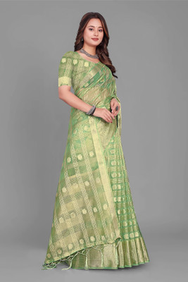 Aarunika SBT Woven Bollywood Organza Saree(Light Green)