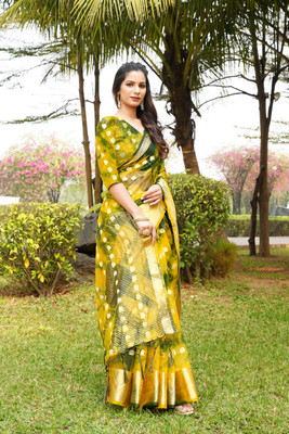 Aarunika SST Printed Bollywood Organza Saree(Green)