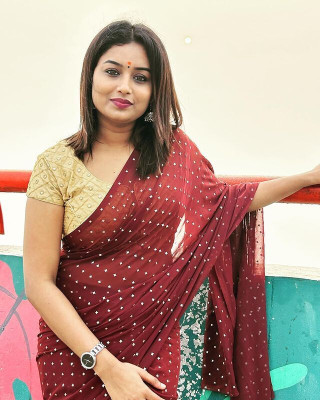 HouseOfCommon Printed Bollywood Georgette, Chiffon Saree(Multicolor)