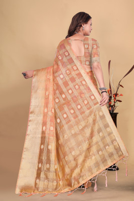 Aarunika SBT Solid/Plain Bollywood Organza Saree(Light Green)