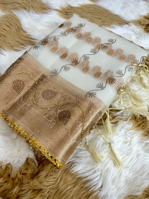 Divastri Embellished Banarasi Organza Saree(Cream)