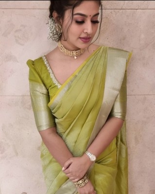 Dhruvil Impex Self Design Banarasi Pure Silk Saree(Green)