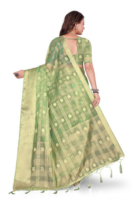 Aarunika LGF Woven Bollywood Organza Saree(Light Green)