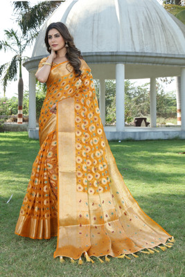 DHRUVIL TEXTILES Self Design Banarasi Organza Saree(Multicolor)