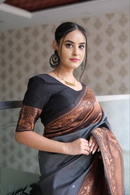 Gajal Woven Kanjivaram Art Silk, Pure Silk Saree(Grey)