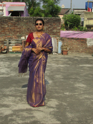 Shaw Creation Solid/Plain Handloom Handloom Tissue Saree(Gold, Purple)