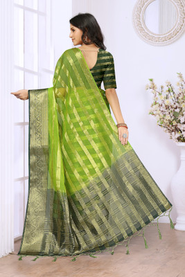 Aarunika MT Solid/Plain, Color Block Bollywood Organza Saree(Light Green)