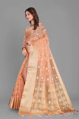 Aarunika MT Printed Bollywood Organza Saree(Cream)