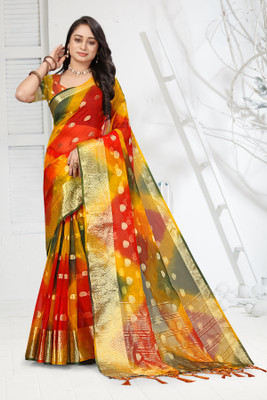 Aarunika SKT Printed Bollywood Organza Saree(Multicolor)