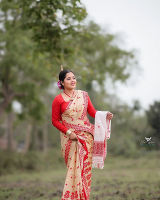 vraj enterprise Woven Mekhela Chador Pure Silk Saree(Cream)