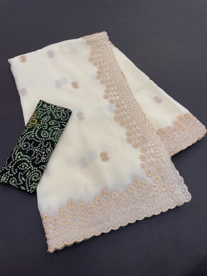 Zari and Ziba Embroidered Bollywood Jimmy choo Saree(Beige)