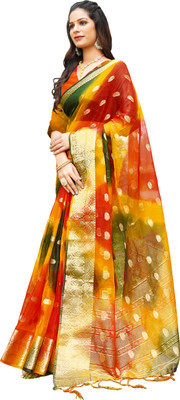 Aarunika AF Printed Bollywood Organza Saree(Multicolor)