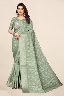 Divastri Applique, Woven Bollywood Silk Blend Saree(Light Green, White)