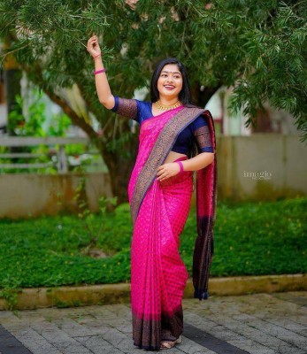 VISVASTA Self Design, Woven, Applique, Printed, Temple Border, Striped Paithani Jacquard, Cotton Blend Saree(Pink)