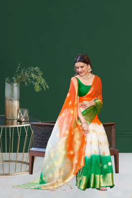 Aarunika IC Printed Bollywood Organza Saree(Green)