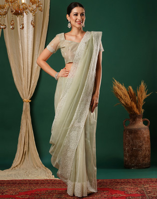 Divastri Embroidered Bollywood Net Saree(Light Green)