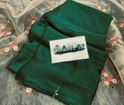 shreeji creation Applique, Solid/Plain Bollywood Chiffon Saree(Green)