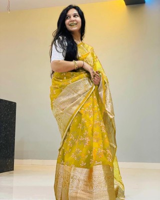 KRIYANSH Woven, Printed, Applique, Embellished Bollywood Organza, Jacquard Saree(Yellow)