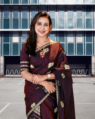 SVN ENTERPRISE Woven Mekhela Chador Cotton Blend Saree(Brown)