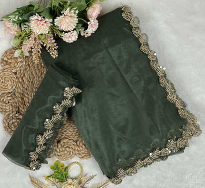 SROLY Embellished Bollywood Net Saree(Light Green)