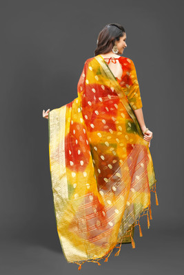 Aarunika SST Printed Bollywood Organza Saree(Multicolor)