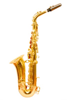 YORBAX Saxophone Pold Polish Alto Saxophone (golden, Sax Case Included) YRX1 Alto Saxophone(GOLDEN, Sax Case Included)