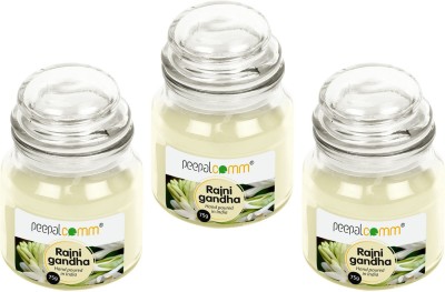 PeepalComm Rajnigandha Scented Wax Jar Candle For festival,decor Set Of 3(Long Burning Time Candle(Beige, Pack of 3)