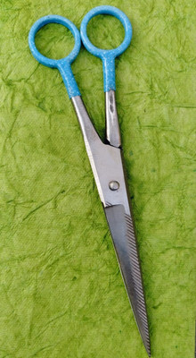 Darshan Mustache/Beard/Eyebrow/Nose Hair Trimming Scissor Scissors-KF32 Scissors(Set of 1, Silver, Blue)
