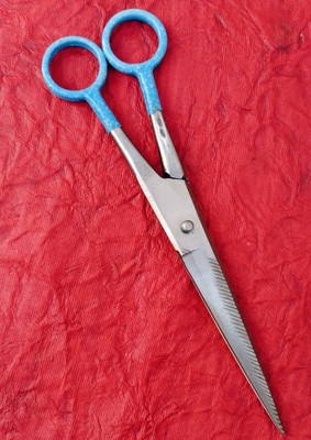 Darshan Mustache/Beard/Eyebrow/Nose Hair Trimming Scissor Scissors-KF21 Scissors(Set of 1, Silver, Blue)