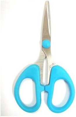 BRIJBAZAAR Stainless Steel All-Purpose Scissor Scissors(Set of 1, Blue)