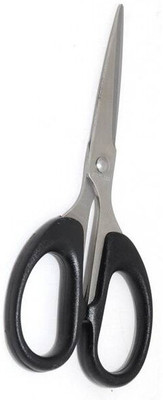 Glamezone Paper Cutting Scissor Arts & Crafts Scissor Size 6 inch Office & Home Stationery Scissors(Set of 1, Silver)