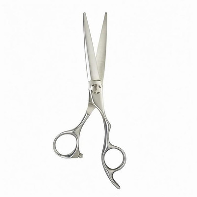 DELUXE Professional Hair Cutting Scissors for Men & Women (Silver) - (Pack of 1) Scissors(Set of 1, Silver)