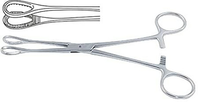 SANJU Khushi Surgical sponge holding forcep (8 INCH) Surgical Instrument, Medical Scissors(Set of 1, Silver)