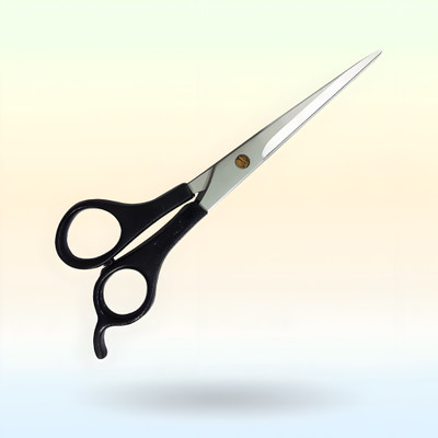 JSBM GROUP Professional Hair Cutting Scissors | 6.5 inch Shears | Advanced Stainless Scissors(Set of 1, Black)