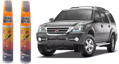 eTouchUp Scratch Remover Paint(12 ml)