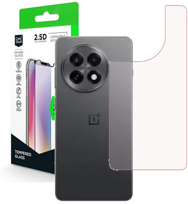 HOBBYTRONICS Back Screen Guard for OnePlus 13R, ONEPLUS 13R (matte)(Pack of 1)