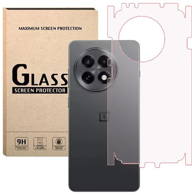 HOBBYTRONICS Back Screen Guard for OnePlus 13R, ONEPLUS 13R(Pack of 1)
