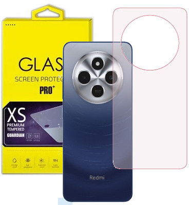 HOBBYTRONICS Back Screen Guard for Poco C75 5g, Poco C75(MATTE)(Pack of 1)