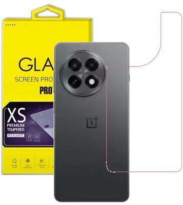 HOBBYTRONICS Back Screen Guard for OnePlus 13R, ONEPLUS 13R(Pack of 1)